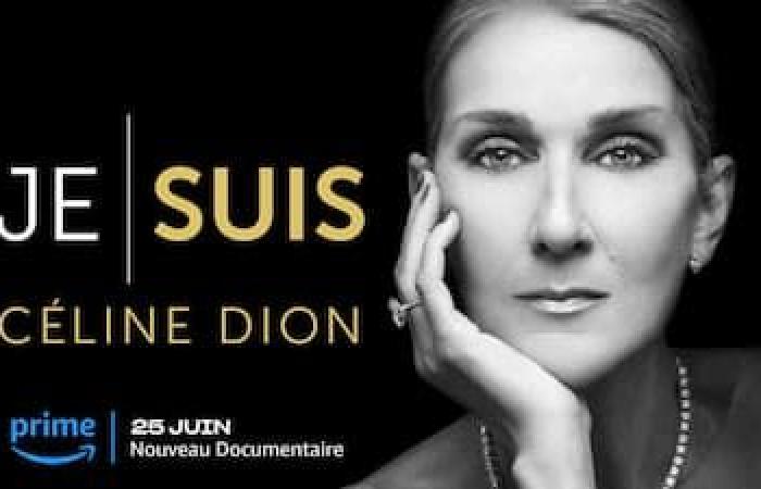 Generosa, commovente, fragile: Céline Dion si rivolge agli abitanti del Quebec per la prima volta in quattro anni