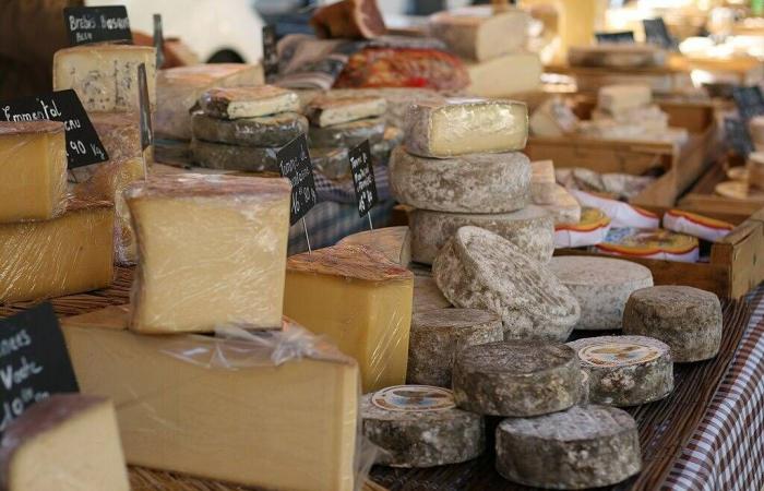 Richiamo di formaggio di pecora contaminato da listeria dai supermercati interessati del Var e delle Alpi Marittime