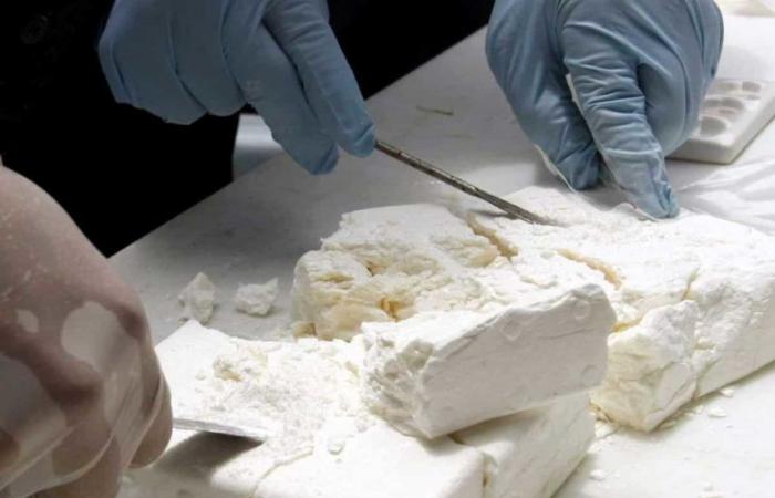 Sequestrati oltre 100 kg di cocaina nel sud del Paese (Dogana)