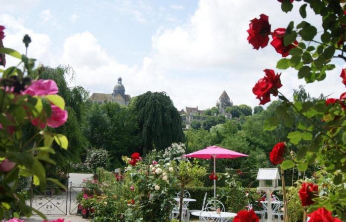 Seine-et-Marne: persa tra le rose, questa terrazza dalla vista mozzafiato incanterà la vostra estate
