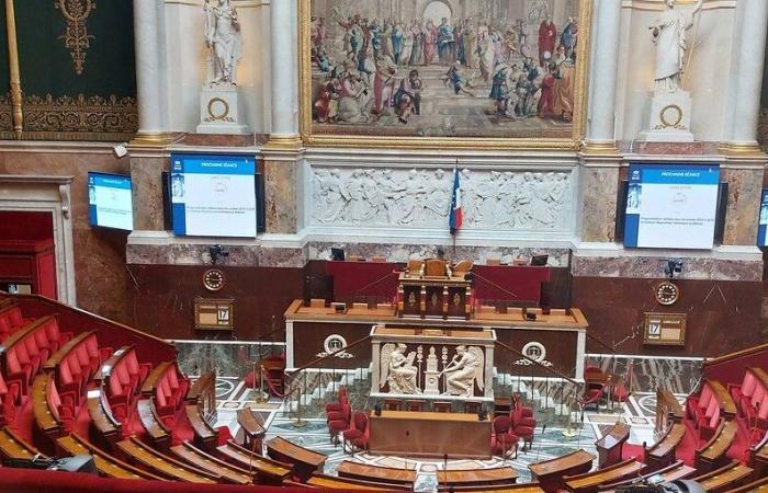 Elezioni legislative 2024: scopri i 7 candidati nella circoscrizione della Creuse