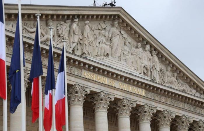 Elezioni legislative 2024: scopri tutti i candidati nelle circoscrizioni elettorali dell’Alta Loira