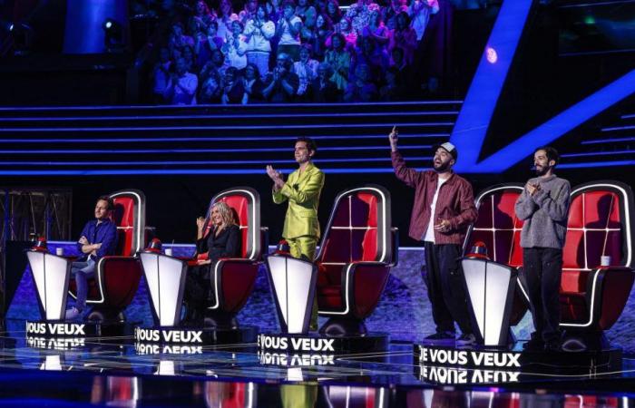 “The Voice”: dopo aver deluso il pubblico, TF1 farà grandi cambiamenti