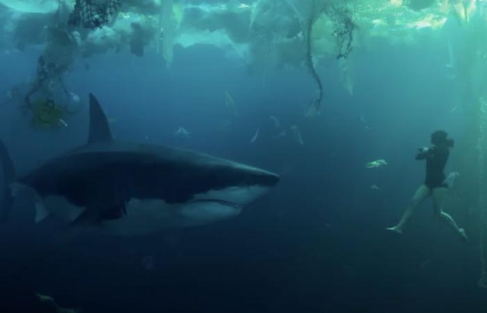 Uno squalo nel Lez? Lo scenario del film “Sous la Seine” potrebbe verificarsi a Montpellier, risponde un esperto