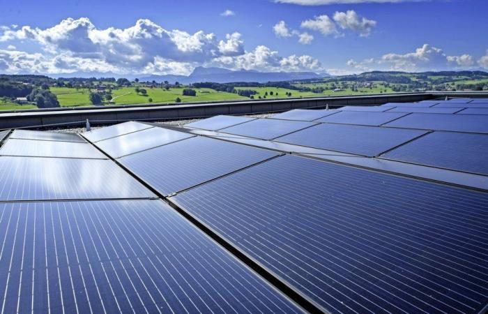 Fotovoltaico: i piccoli produttori protetti dai prezzi negativi
