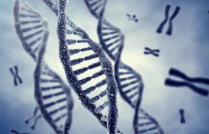 Il test del DNA riunisce tre fratelli dopo i 70 anni