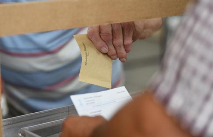 Chi sono i 20 candidati alle elezioni legislative nelle circoscrizioni dell’Yonne?
