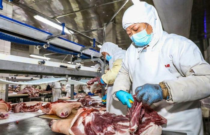 Cina: indagine antidumping sulle importazioni di carne suina europea