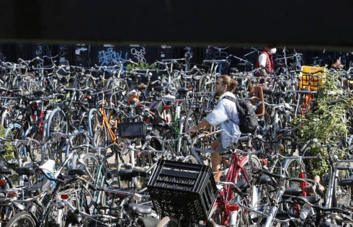 I ciclisti olandesi esortati a indossare il casco mentre aumentano le morti in bicicletta – Libération