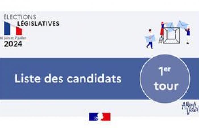 Elezioni legislative 2024 – Lista dei candidati al 1° turno nel Lot-et-Garonne – CANDIDATI – Elezioni legislative 2024 – Elezioni politiche – Cittadinanza – Azioni dello Stato