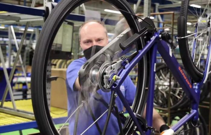 Le cose vanno sempre peggio per il produttore di biciclette numero 1 in Europa