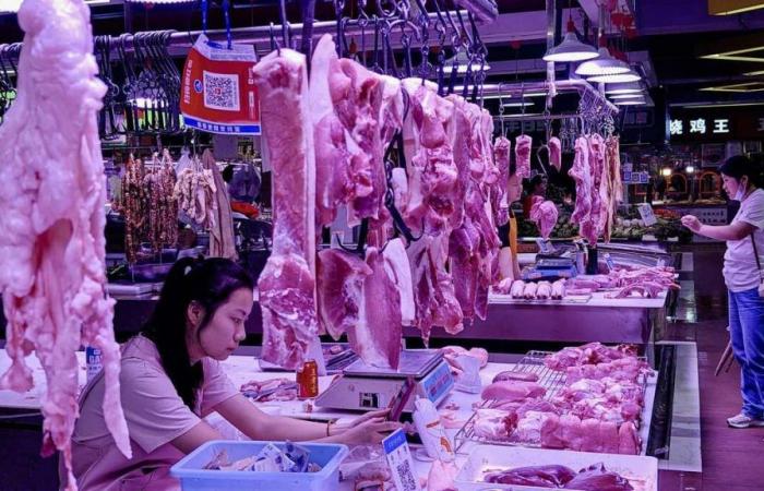 La Cina annuncia l’apertura di un’indagine antidumping sulle importazioni di carne suina europea