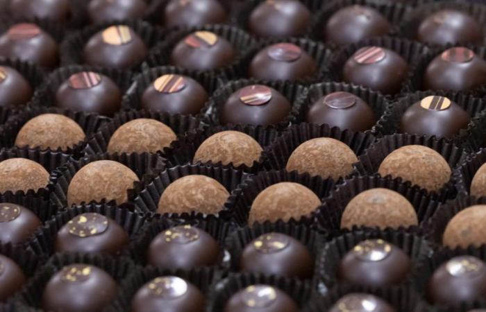 Il cioccolato del futuro conterrà poco o nessun cacao