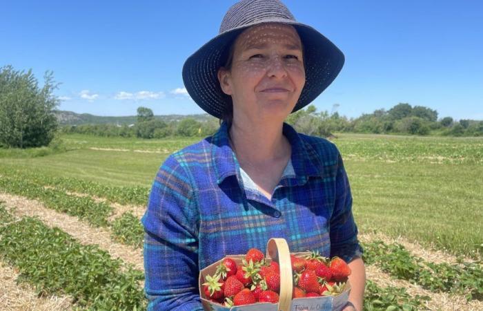 Il sole splende per gli agricoltori del Quebec orientale