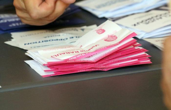 Elezioni legislative 2024 nel Tarn-et-Garonne: dodici candidati convalidati nelle due circoscrizioni elettorali del dipartimento