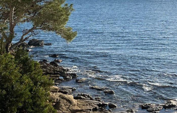 Un francese è stato trovato morto bloccato a 10 metri di profondità… Questa spiaggia catalana ha registrato una seconda morte questa domenica