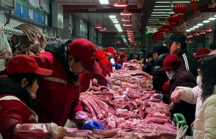 La Cina apre un’indagine antidumping sulle importazioni di carne di maiale dall’UE – 17/06/2024 alle 13:13