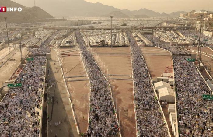 Pellegrinaggio alla Mecca: temperature estreme uccidono almeno 19 persone