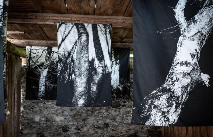 La terza Biennale Bregaglia trasforma Bondo in una galleria d’arte a cielo aperto