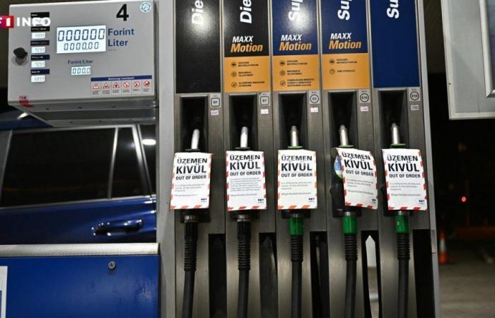 Limitato il prezzo della benzina: l’Ungheria, che ha adottato questa misura, ha davvero fatto marcia indietro tre mesi dopo?