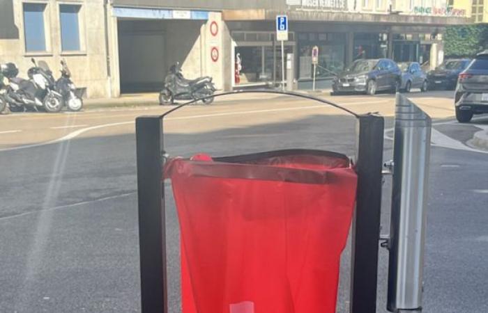 Sacchi della spazzatura per sostenere la causa Nati rabbrividiscono a Ginevra