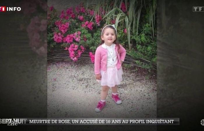 Omicidio di Rose, 5 anni: l’agghiacciante profilo dell’adolescente condannato al massimo della pena