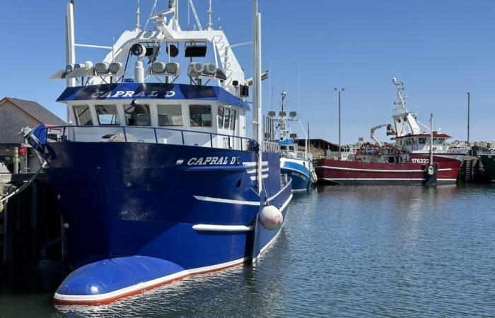 Ottawa resta vaga sulla futura gestione dei porti di pesca
