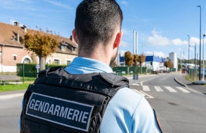 Isère: una chiamata a testimoni lanciata dopo la scoperta del corpo di una donna in un campo: Notizie