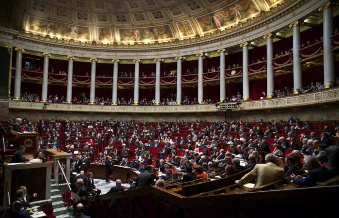 Elezioni legislative 2024: scopri i nomi dei 74 candidati che si contenderanno i dieci seggi di deputati dell’Essonne