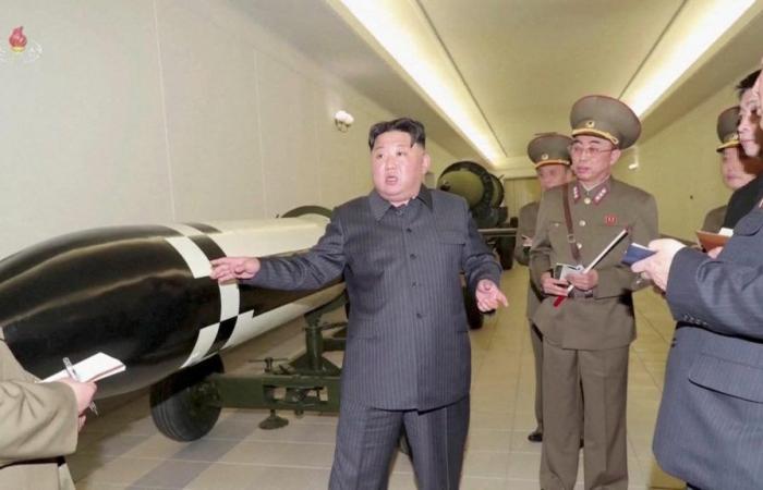 L’Agenzia internazionale per l’energia atomica vuole ristabilire i contatti con la Corea del Nord