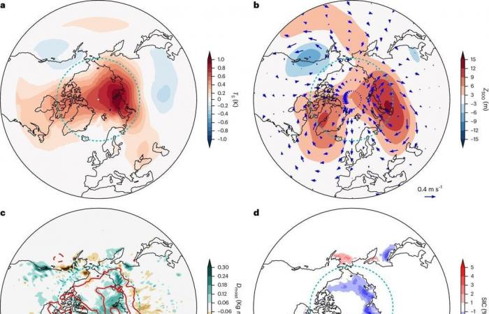 Gli esperti ritengono che il riscaldamento dell’Artico sia tre volte maggiore rispetto alle tendenze globali!