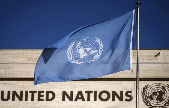Scambio di armi tra Sudan ed Emirati al Consiglio di Sicurezza dell’Onu
