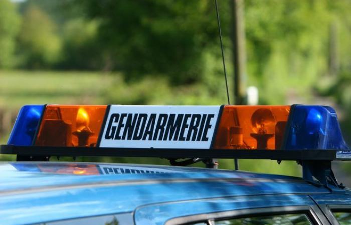 Una donna di 97 anni e suo figlio, scomparsi da due giorni, sono stati ritrovati vivi in ​​un bosco a Corrèze