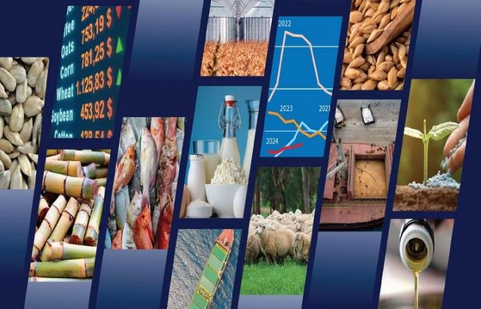 Verso una stabilizzazione della maggior parte dei mercati dei prodotti alimentari nel 2024-2025 – VivAfrik