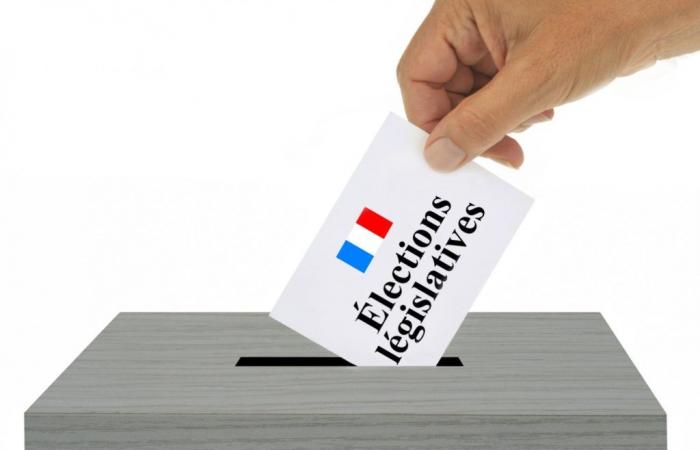 Elezioni legislative anticipate: chi sono i candidati della Mosella-Est e dell’Alsazia Bossue?
