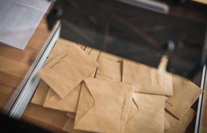 Elezioni legislative 2024: il valzer delle etichette nel collegio elettorale di Toul