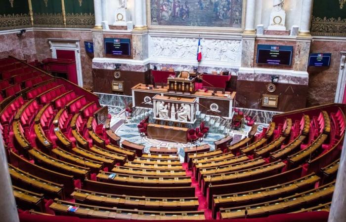 Elezioni legislative 2024: candidati al 1° turno nel Vaucluse