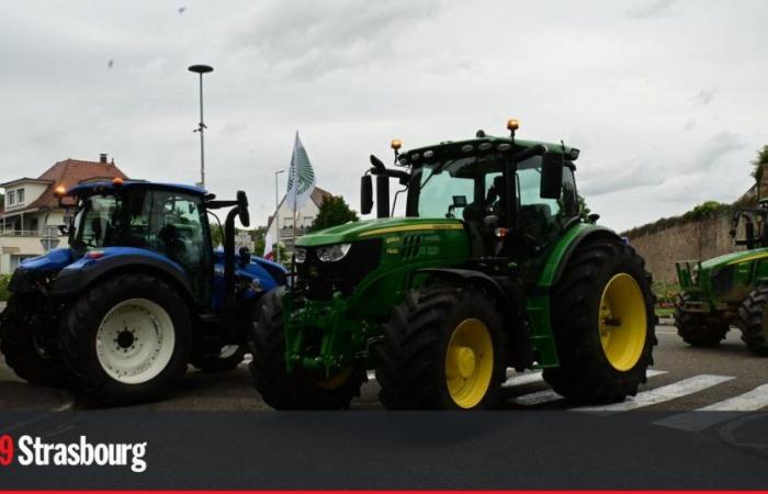 Gli agricoltori del Basso Reno manifestano per ricevere il loro aiuto finanziario