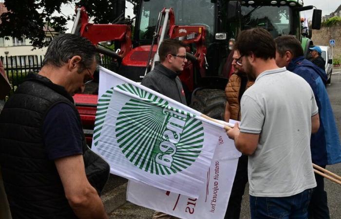 Gli agricoltori del Basso Reno manifestano per ricevere il loro aiuto finanziario