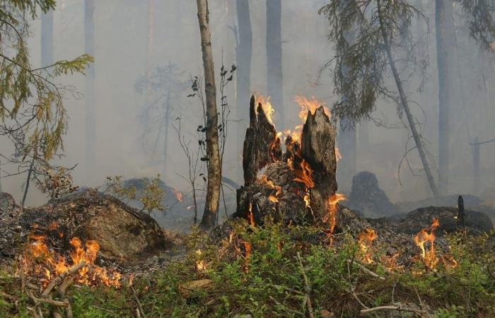 Gard: prevenzione incendi prima della stagione estiva