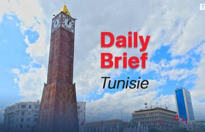 Brief nazionale quotidiano del 19 giugno 2024: Morte di 35 pellegrini tunisini