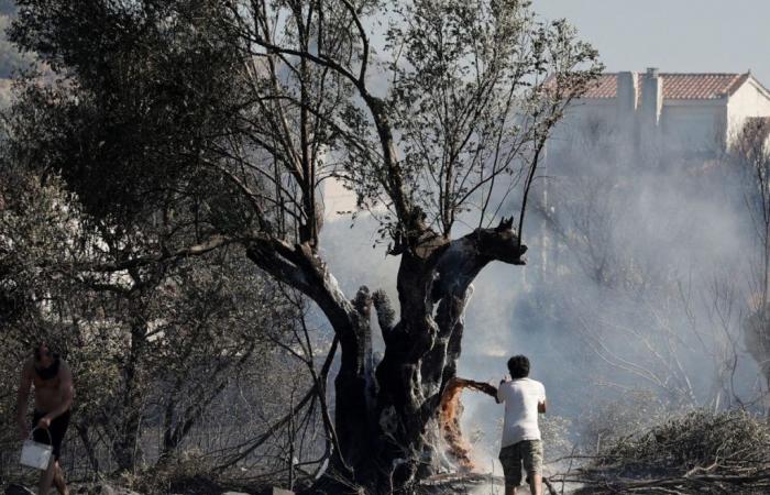 Grecia-Un incendio infuria 30 km a sud di Atene