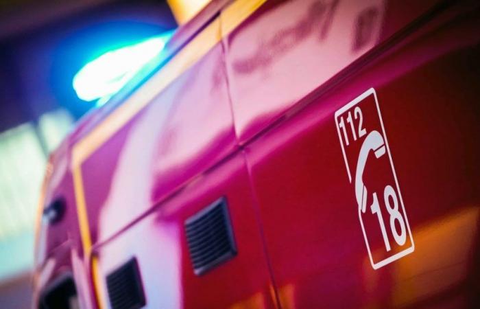 Eure-et-Loir: sette persone, tra cui cinque giovani tra i 17 ei 19 anni, muoiono in un incidente stradale vicino a Chartres