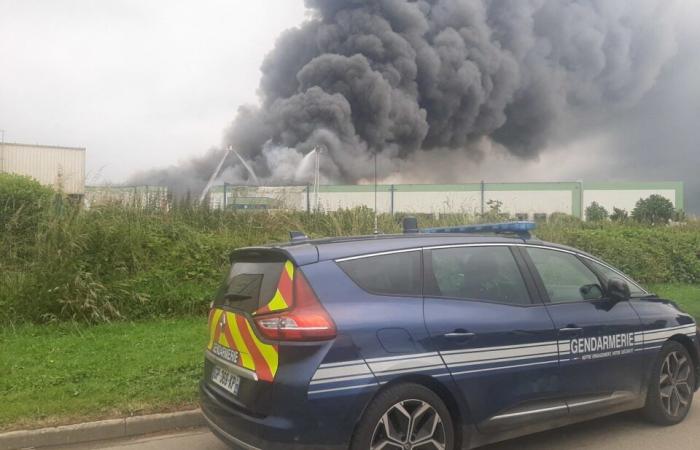 VIDEO. Mayenne: immagini impressionanti di un enorme incendio in un sito industriale vicino a Sablé-sur-Sarthe