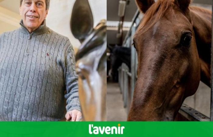 “Un terribile incidente”: in Francia, più di 50 cavalli sono morti tra le fiamme nell’allevamento Hutois José Lardot