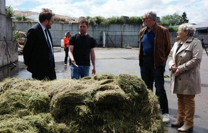 Nell’Eure, il Dipartimento vuole produrre gas con l’erba falciata