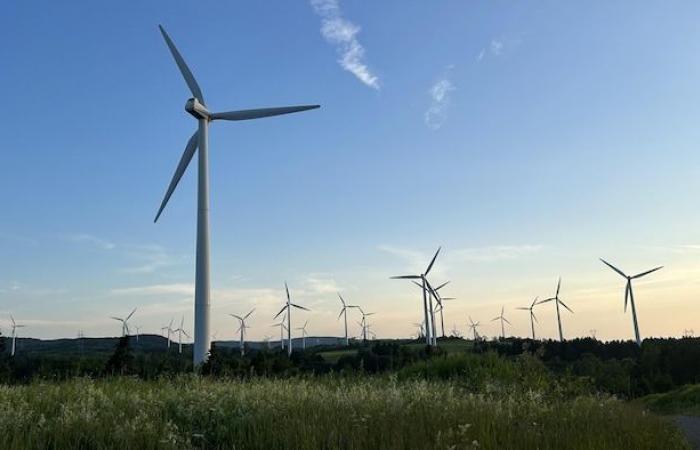 È qui che si prevede la realizzazione dei “megafarms” eolici dell’Hydro-Québec