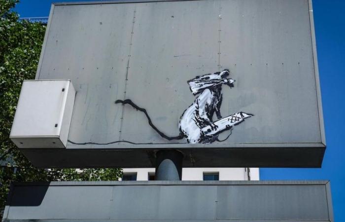 Furto del topo dal cutter di Banksy a Parigi: due anni di reclusione con sospensione della pena e 30mila euro di multa per il ladro