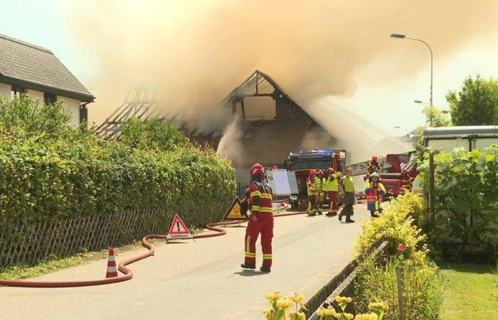 Grosseinsatz wegen Brand a Dintikon – Bund gibt Entwarnung