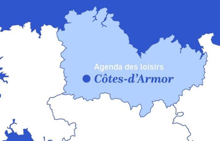 Cosa fare in Côtes-d’Armor questo fine settimana dal 21 al 23 giugno 2024?